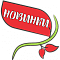 Новинки